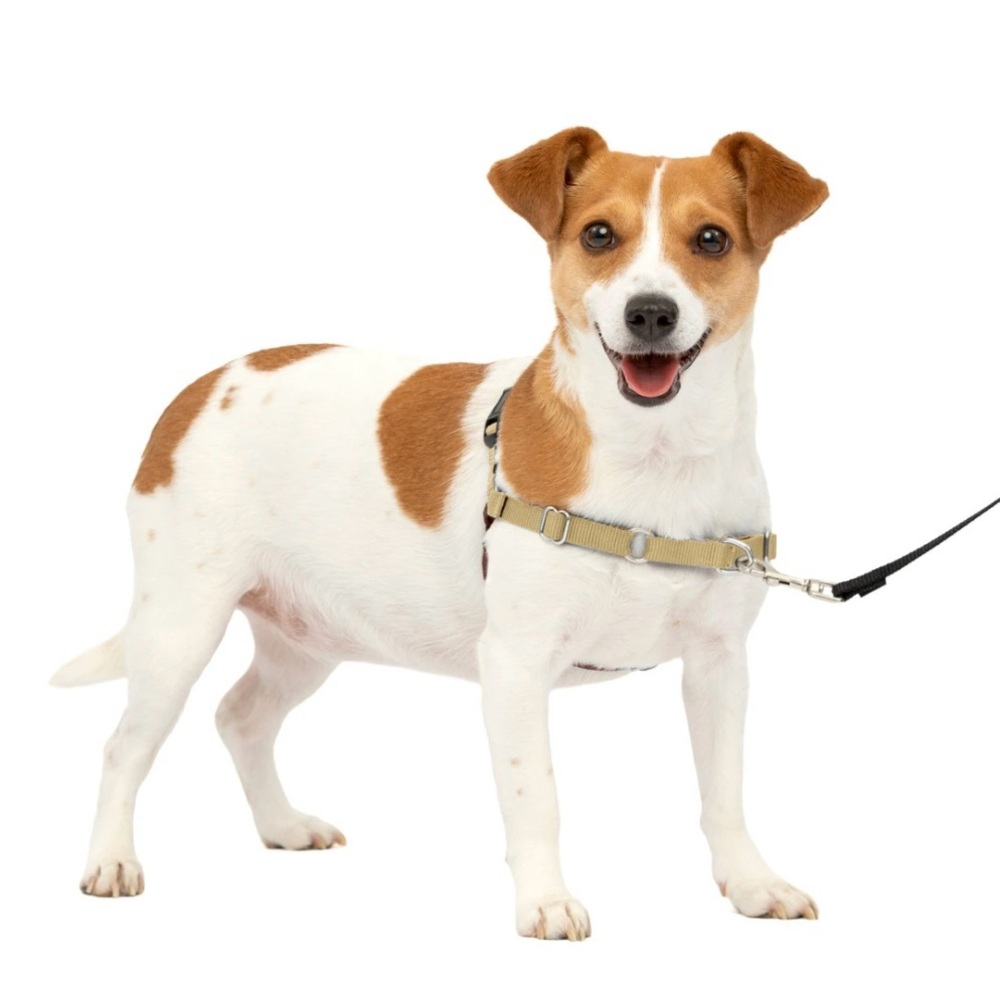 PetSafe Easy Walk Dog Harness, Fawn/Brown, Small